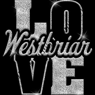 GLT74 SILVER GLITTER Thumbnail